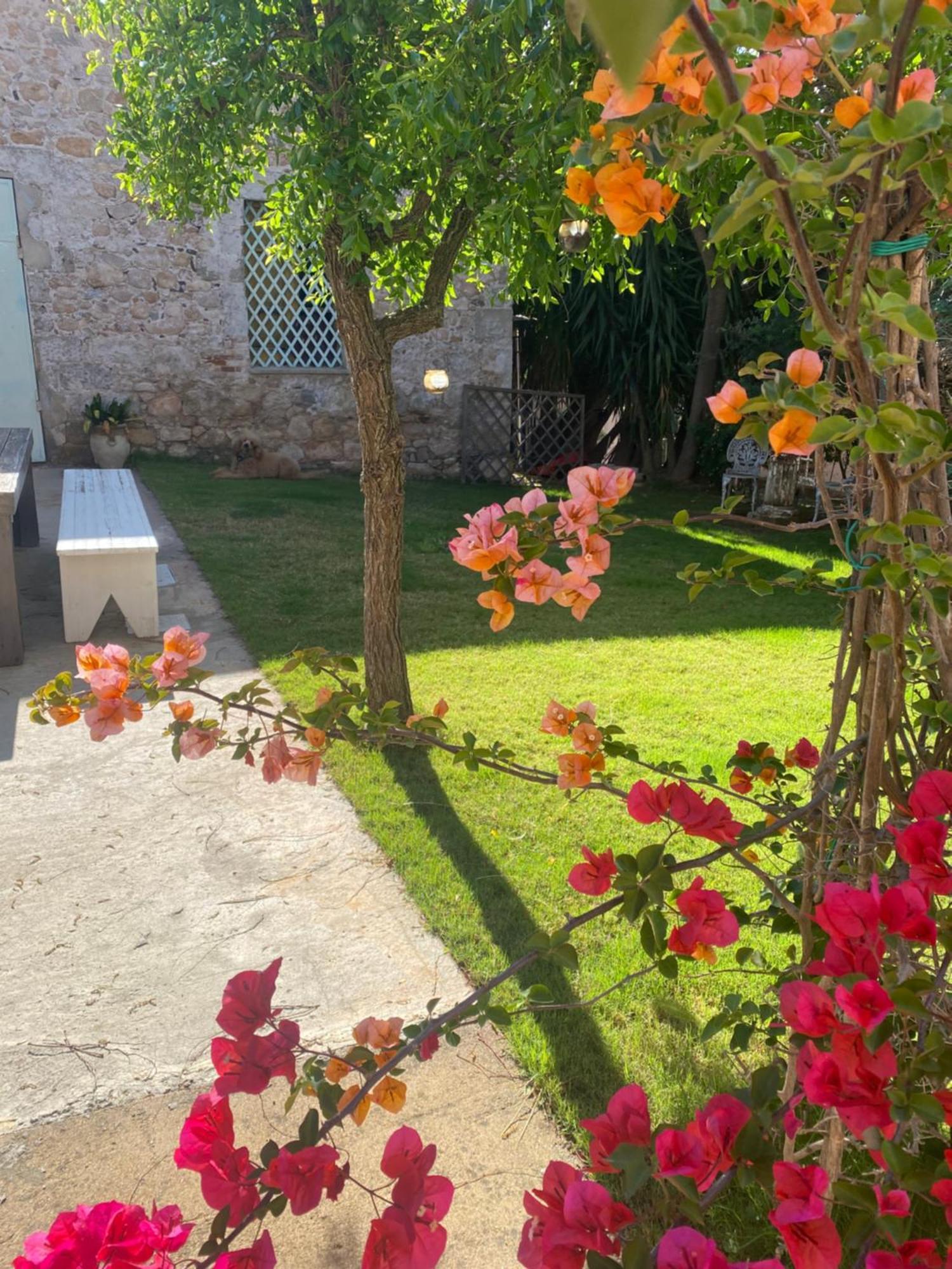 Corte Boero Bed&Breakfast Capoterra Buitenkant foto